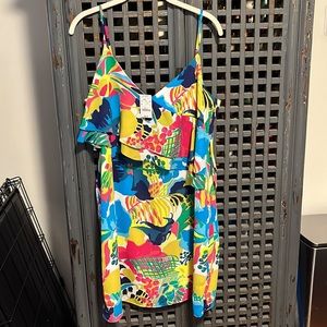 Size 12 J crew Dress- never worn